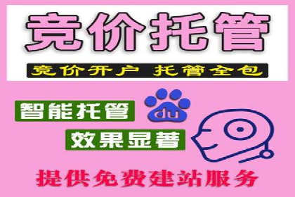 百度竞价排名：实战案例告诉你如何实现精准推广